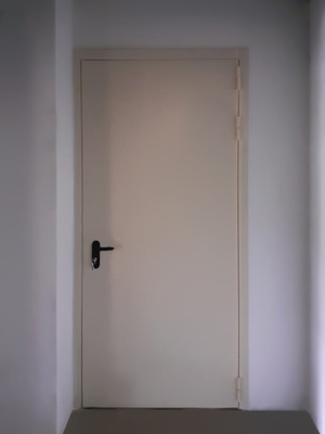 Дверь в помещении мини-отеля (г. Троицк)