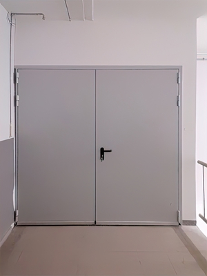 Двупольная дверь с внешней стороны (ТРЦ «Мега Химки»)