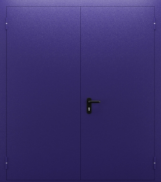 Двупольная глухая дверь со звукоизоляцией ДПМ 02/60 (EI 60) — №03 (NEW)