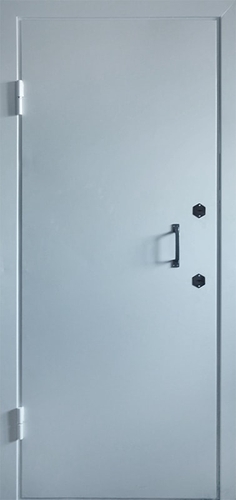 Однопольная техническая дверь с ручкой-скобой — 005