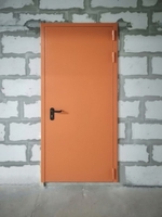 Однопольная дверь по адресу Шлюзовая Набережная