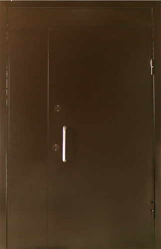 Однопольная техническая дверь со вставками — 002