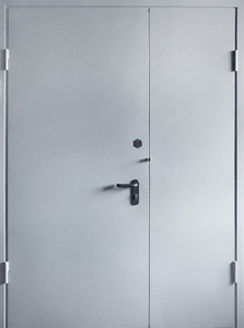 Полуторная дверь с проушинами для навесного замка — 005