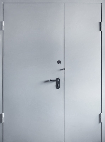 Полуторная техническая дверь с проушинами для навесного замка — 005