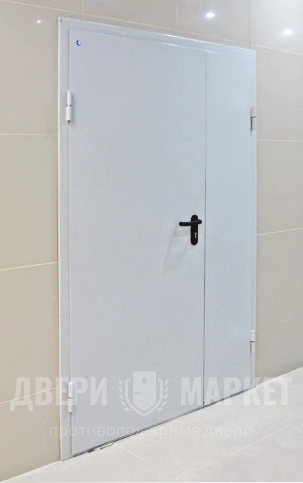 Дверь 1 го типа. Металлическая противопожарная дверь ei 60 ral 7035. противопожарная дверь 1300х2100. двери противопожарные металлические дпм. противопожарные двери равнопольные 7016.