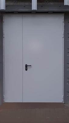 Полуторопольная дверь (ТРЦ «Мега»)