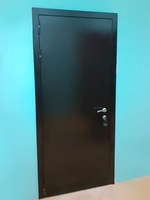 Порошковая дверь с внешней стороны (производство, г. Зеленоград)