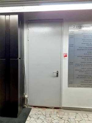 Серая однопольная дверь (больница, ул. 3-я Черепковская)