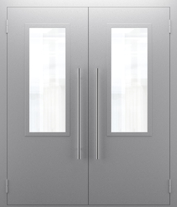 Техническая двупольная дверь со стеклом — №03 (NEW)