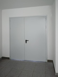 Двупольная дверь Антипаника, фото спереди