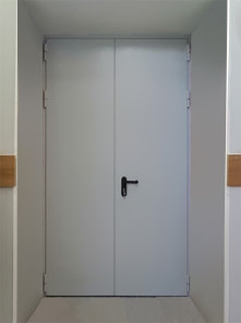 Двупольная дверь, фото снаружи