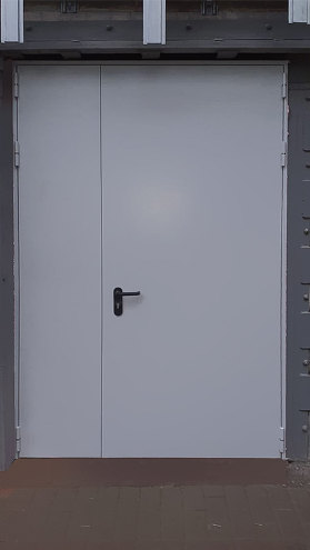 Полуторопольная дверь для ТРЦ